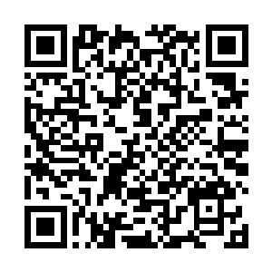 十数个道鬼瞬息间就给这杀伤力强大的幻剑天斩成飞烟二维码生成