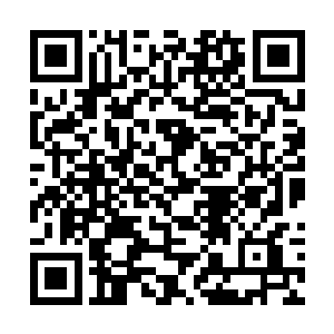 十方蜂蜜传说经常吃都自动可以融合自身法则的奥妙二维码生成