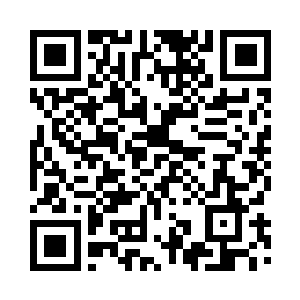 十条中品的奋笔疾书文心彻底钓够了二维码生成