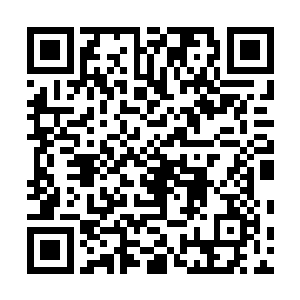 十来把发出数丈之长的灵剑从四面八方朝白角犀刺了过去二维码生成