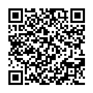 十株星华仙草以一百六十来亿的价格被某人给拿下了二维码生成