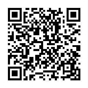 十根手指从容不迫却又快速之极的在琴弦上跳跃着二维码生成