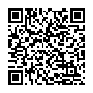 十滴朱雀精血全部滴在了秦杏轩的几个重要窍穴上二维码生成