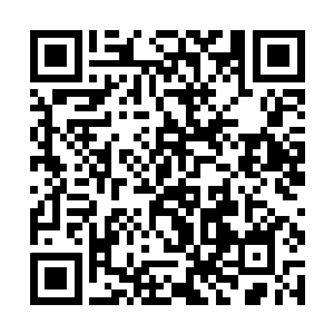 十绝悟道果树会是当初他在奇迹神殿看到的雷霆神树二维码生成