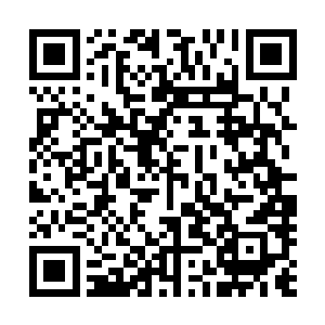 十足丹恢复的元力和分部长老传来的元力全部汇聚在了一起二维码生成