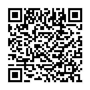 千万不能够等到这件事传到了许紫烟的耳中之后二维码生成