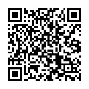 千万不要在把人送来之前在她们的身上做什么手脚啊二维码生成