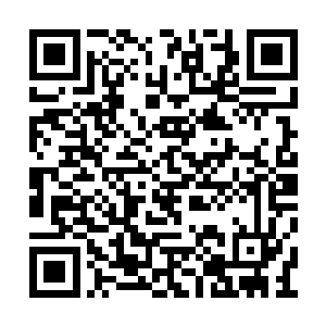 千万别用你的脑袋去揣摩一个大地骑士在想什么二维码生成