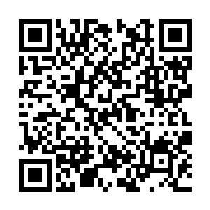 千千仙子好歹是洛神宫目前同阶之中最强大的弟子二维码生成