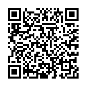 千夜也不是很明白魏破天的那两位长辈想干什么二维码生成