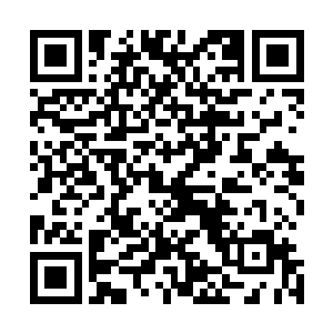 千夜才为一块小小血晶中竟然能容纳如此数量的血气而惊讶二维码生成