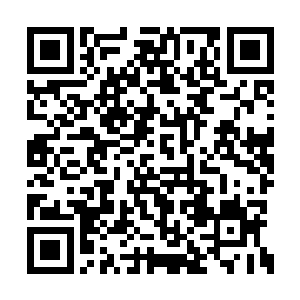千夜正好也想了解更多关于琪琪考核任务的内容二维码生成