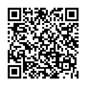 千夜简单地说了说自己在波图蛛魔子爵城堡找到小水晶片二维码生成