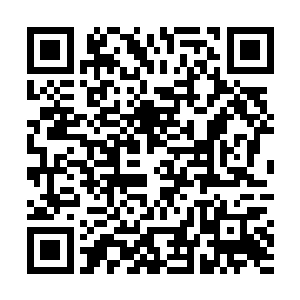 千夜脚下地面突然出现无数密密麻麻如蛛网一般的裂纹二维码生成