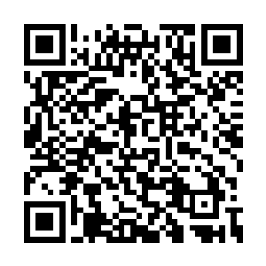 千寻终于帮助他想起了自己的名字赈早见琥珀主二维码生成