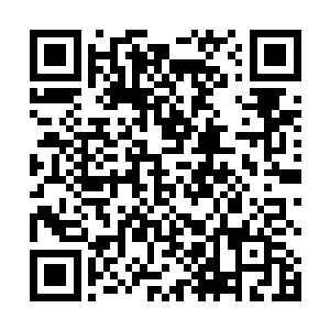千年苦修哪怕对于这年轻修罗而言也是一个惊人的数字二维码生成