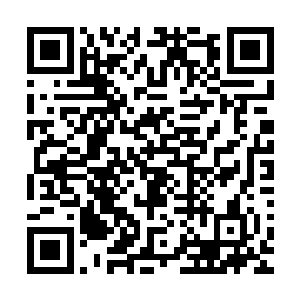 千手观音一直安然无恙的待在小加藤君别墅地下室的保险柜里二维码生成