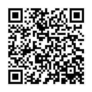 千林中域就是九天大域北方广大人族地界之中的一个地方二维码生成