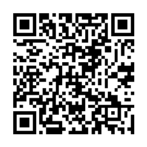 千百个复制体因各种各样的原因破灭了近三分之一二维码生成