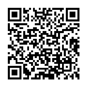 千百年来所有人皆称弑神虫是最为无敌的杀戮者二维码生成