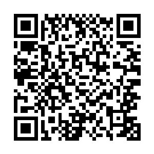 千足蜈蚣带着我和陈景皓来到了祖师祠堂一堵墙壁的面前二维码生成