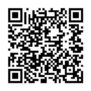 千里迢迢的回到南京陪着老爷子修治本草纲目增补二维码生成