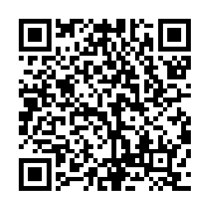 千面无常吸收的所有金雷吞天诀功力瞬间被徐天涯吸收干净二维码生成
