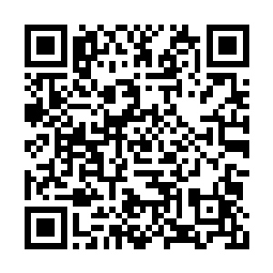 升到十二级的话会让张铁的安全感增加那么一些二维码生成