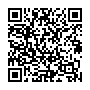 半个戒指也没有……齐老怪躯干的脖子以下也是干干净净二维码生成