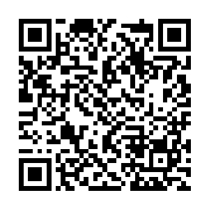 半个月的时间内从后天一重直接达到后天五重顶峰二维码生成