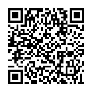 半分钟后传出来的反而是几个不良学员的惨叫声二维码生成