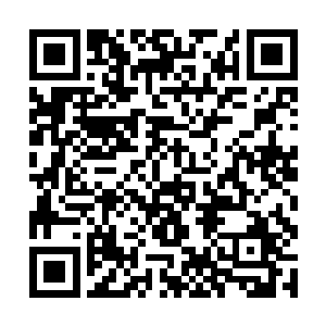 半圣之下恐怕只有衣知世才能有如此洞悉内心的能力二维码生成