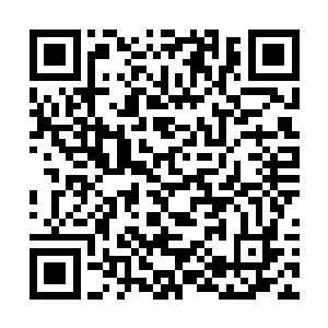 半小时后他们就已经降落在马来西亚首都的国际机场二维码生成