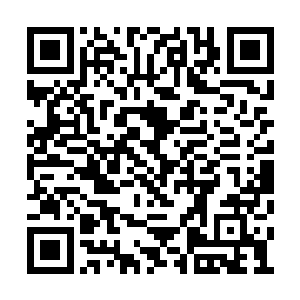 半山岛所辖就算大片原始森林也是利用效率不高二维码生成