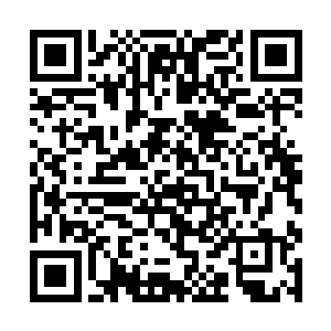 半山腰和山下的那些修为低下的修士却没有如此想法二维码生成