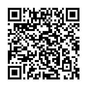 半年的时间对于中三界的修炼者来说什么都不算二维码生成