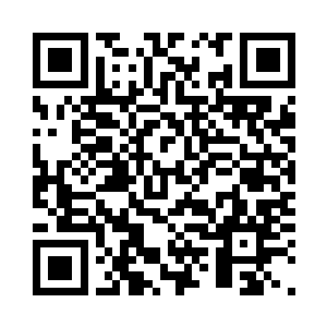 半张芝麻饼连你的半个小脸都遮不住二维码生成