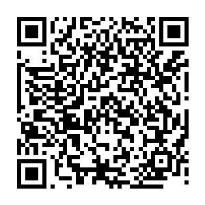 半步元婴大能 果然是半步元婴 若是猜得不错 他必然就是茅山当代掌教 二维码生成