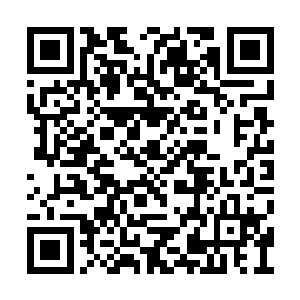 半步至尊境……而直接一步进阶到至尊境层次的二维码生成