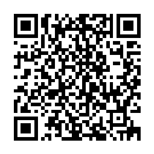 半点没怀疑刚才什么都知道的人居然清楚不算太有名的画眉山庄二维码生成