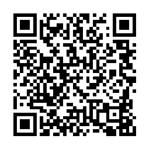 半空中炼虚初期修士惊惧的双眼迎上那朵三色花二维码生成