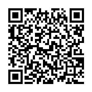 半空中的巨大蛛网在魔蛛的控制下似乎拥有了灵性一般二维码生成
