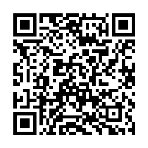 半空中被激荡出去的黑点们也竟然极快地稳住了身体二维码生成