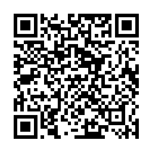 半空中那一张美丽的不像人类的脸庞看起来充满了狐疑二维码生成