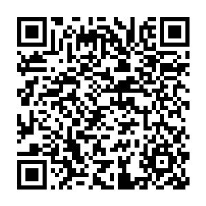 半蹲进入的熟练身姿倒是证明他的确有过驾驶这种低矮超跑的经验二维码生成