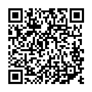 半边脸还是被腾空而起的孩子劈开了一道巨大的血口子二维码生成