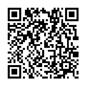 半透明黑色材质中的血纹亦化作熊熊燃烧的火焰二维码生成