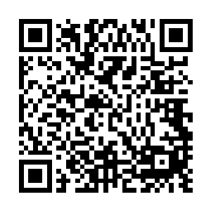 半道上人族与小石族联军已经因为难以承受压力停在了远处二维码生成