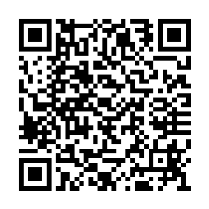 华丽的水晶灯打出的光晕笼罩在她精致的妆容上二维码生成