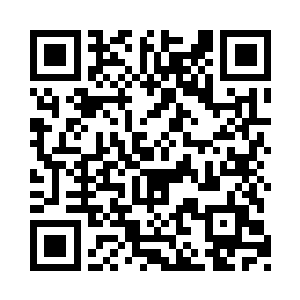 华丽而优雅的政治小刺刀是没有用武之地的二维码生成